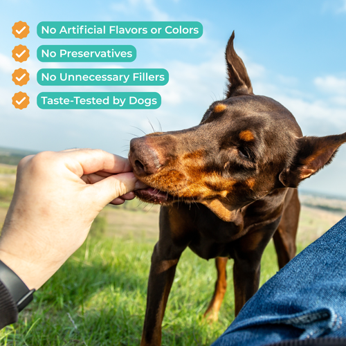 All in One Daily Wellness Care