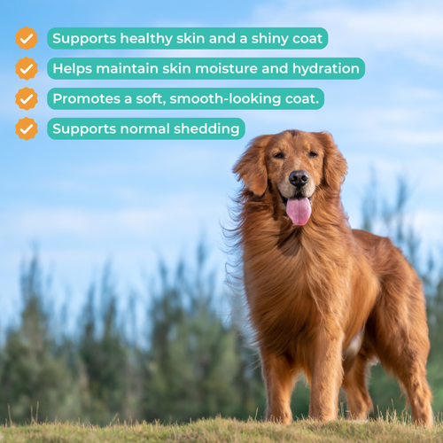 Skin & Coat Health Support